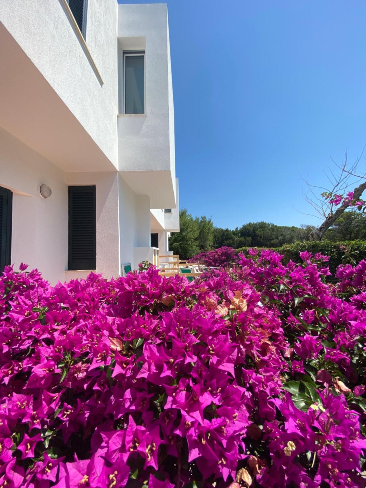 אוטרנטו Residence Altair - Serra Degli Alimini מראה חיצוני תמונה